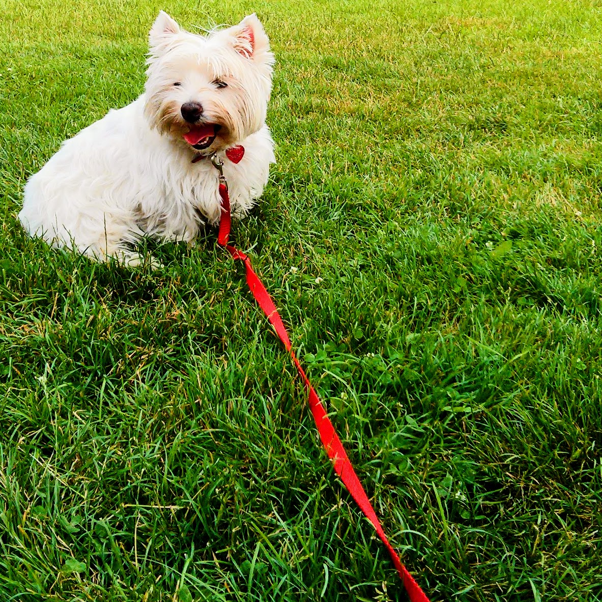 From Instagram with love