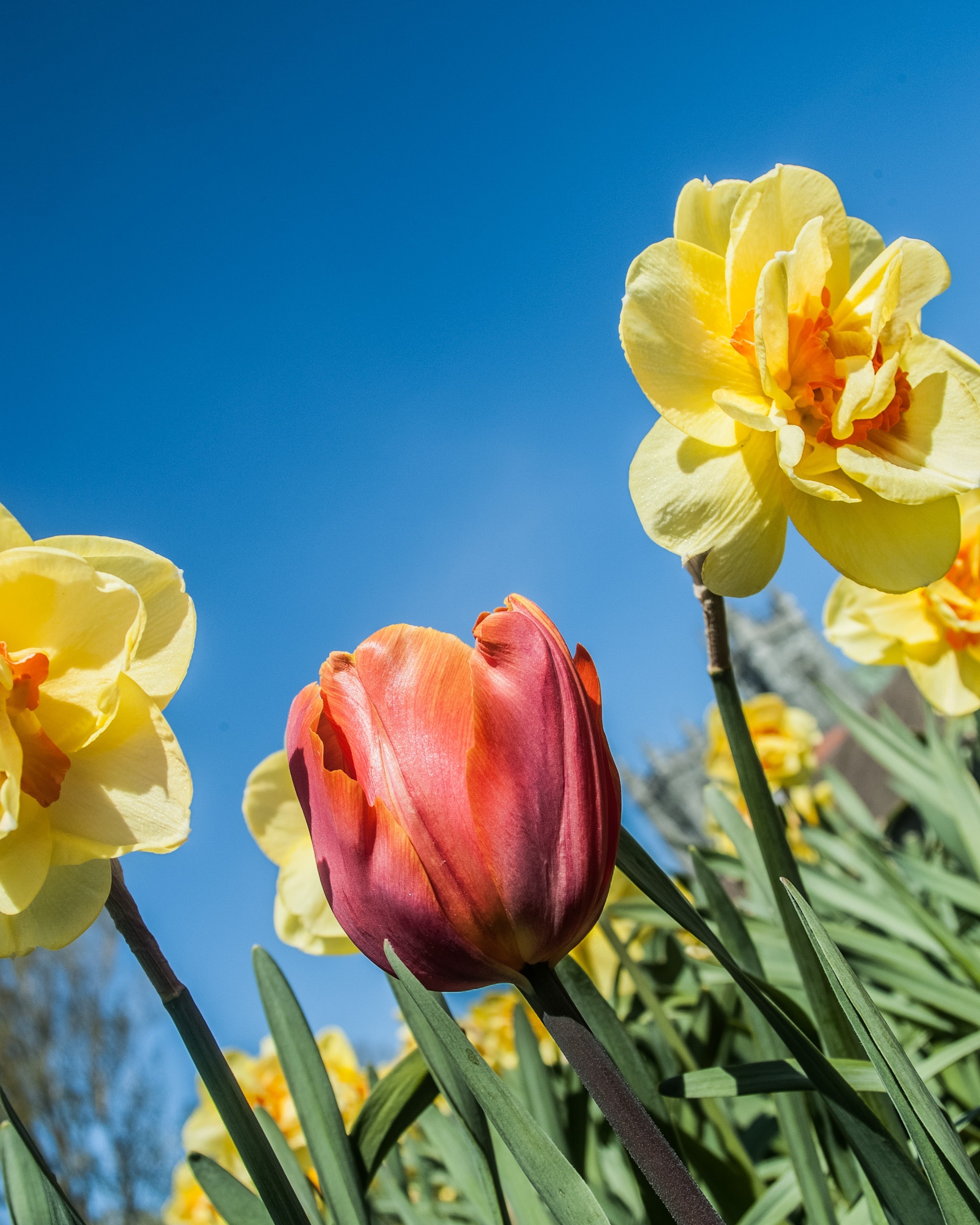 Good news from around the globe